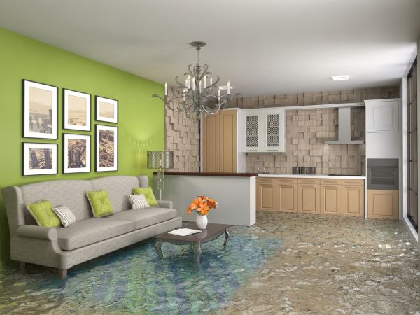 Wet Carpet Drying in Bay City