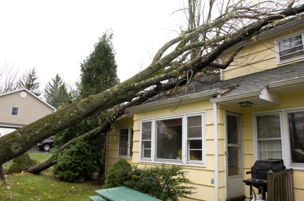 Hurricane Damage Repair in Bay City